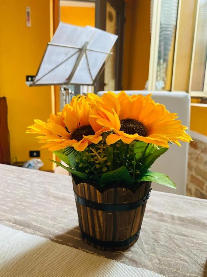 A Casa Di Anna Bed & Breakfast Vaglio Serra Ngoại thất bức ảnh